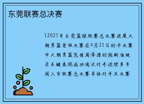东莞联赛总决赛